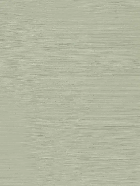LimePaint Ceylon