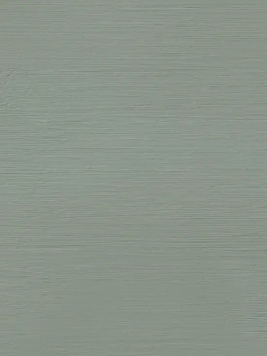 Nautilus in Mineral Paint