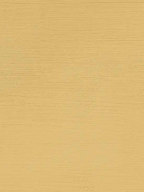 Corn in Mineral Paint