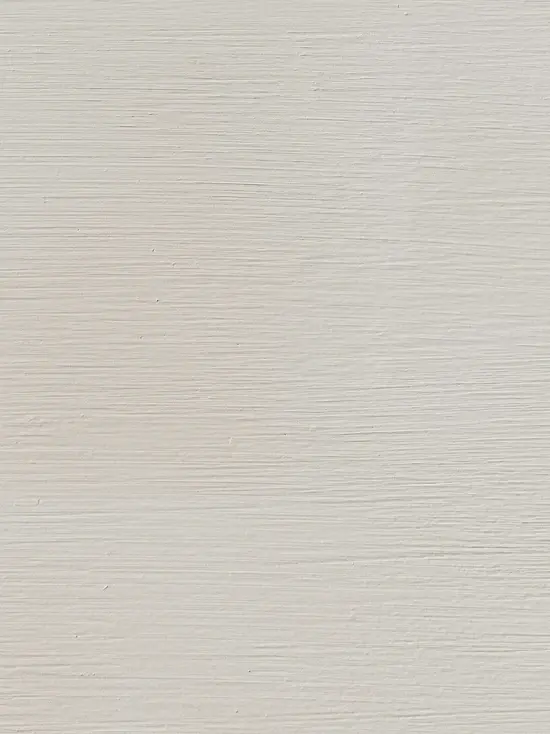 Mushroom in Mineral Paint