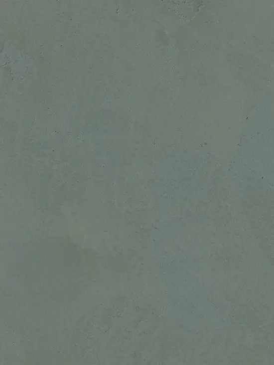 Nautilus in A Subtle Nuance